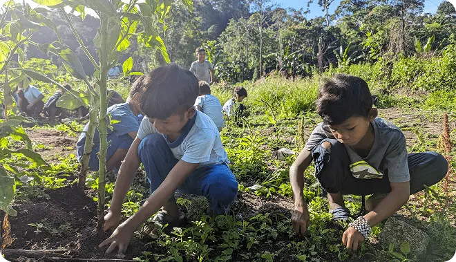 Dana Pendidikan Kanak-kanak Orang Asli